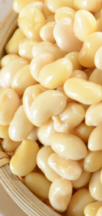 大豆へのこだわり